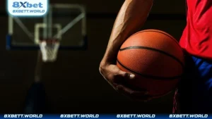 Cá Cược Bóng Rổ