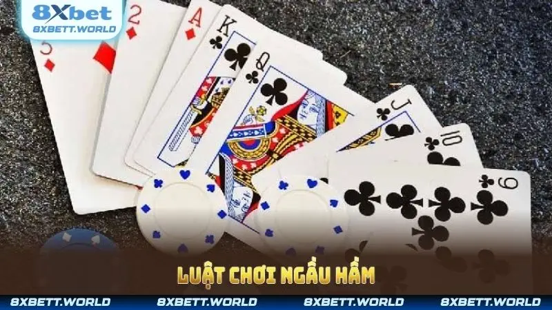 Hướng dẫn hội viên quy luật khi tham gia đặt cược Bull Bull