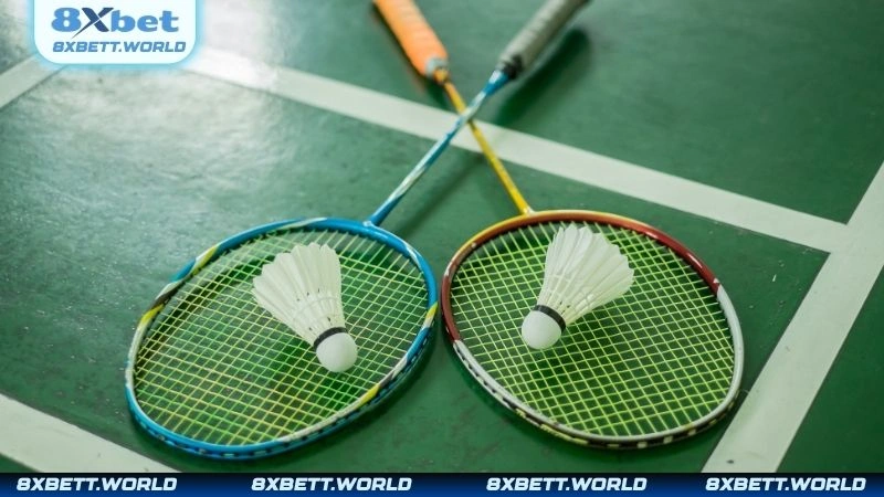 Tìm hiểu khái niệm cá cược cầu lông