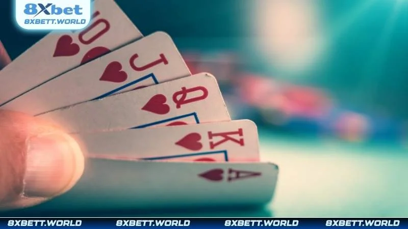 Tính năng nào của sản phẩm được thành viên đánh giá cao?