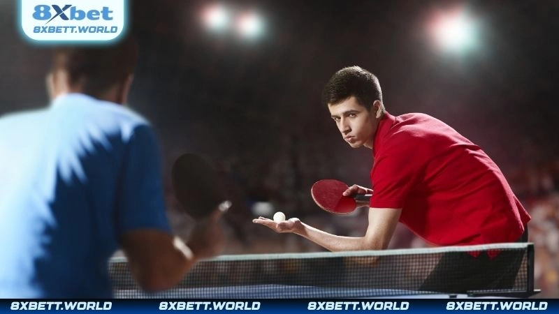 Vì sao nên tham gia cá cược bóng bàn tại 8XBET?